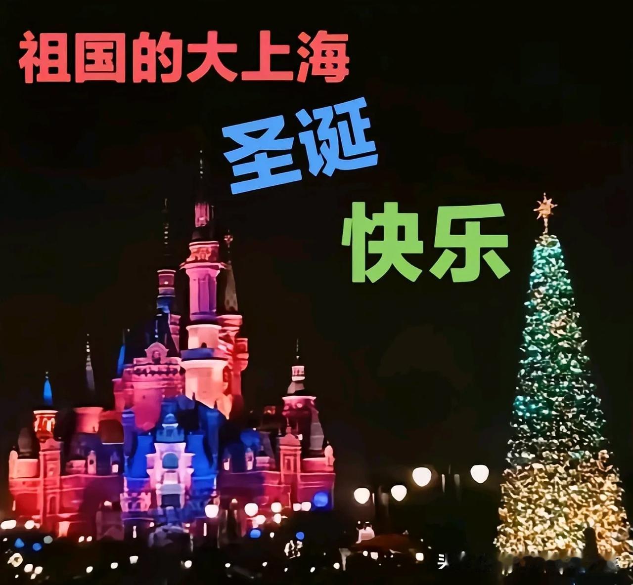 二零二四年十二月二十五日，星期三。

圣诞夜！

祖国的大上海，圣诞快乐！！