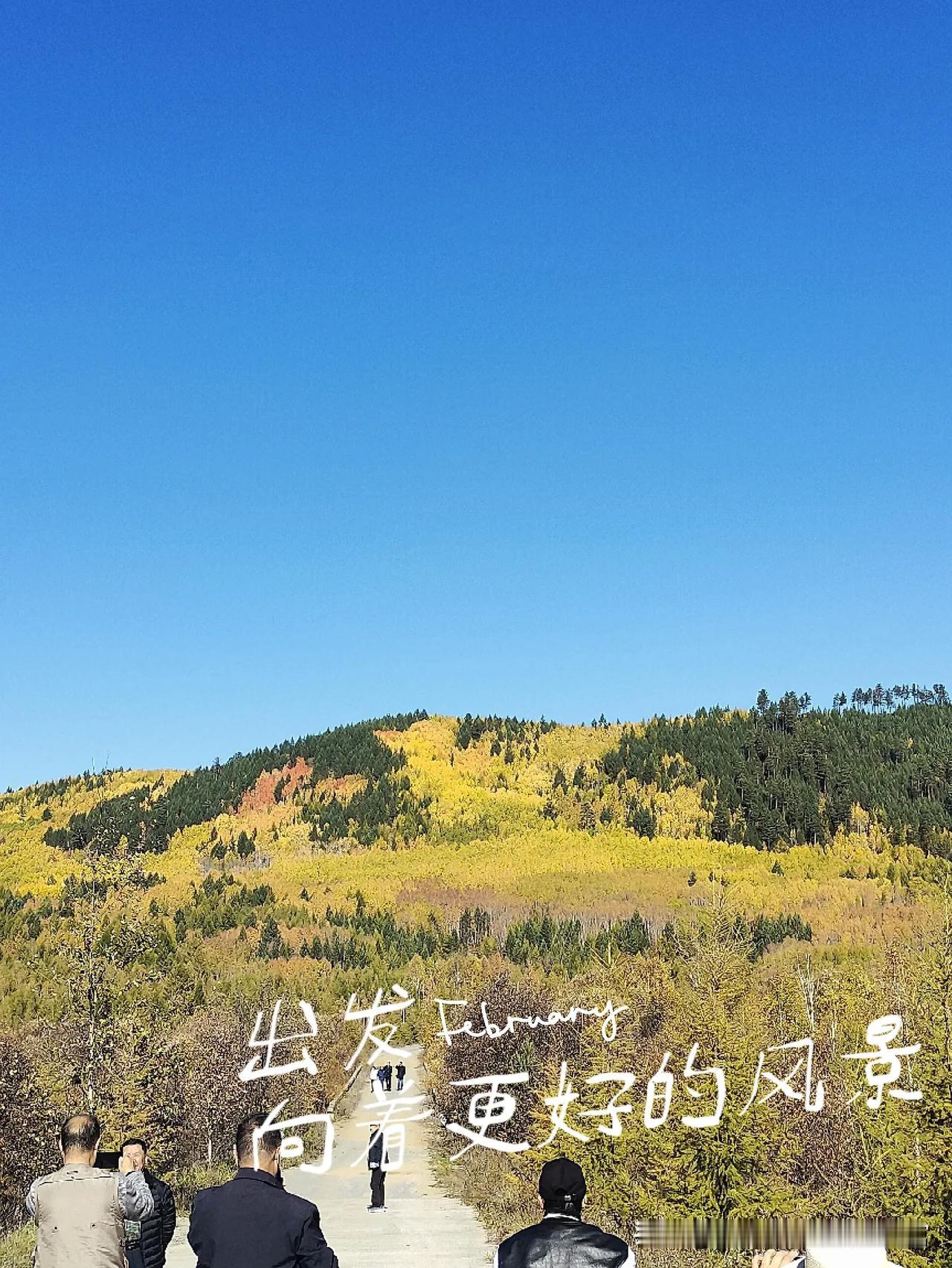 #秋高气爽好美景# #秋日美景共分享# #随手拍秋季景色# #一路向北去漠河# 