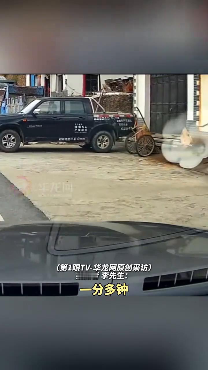 母鸡带小鸡们过完马路后突然折返，开车男子好心礼让停车等它们慢慢过，随后驾车开出一