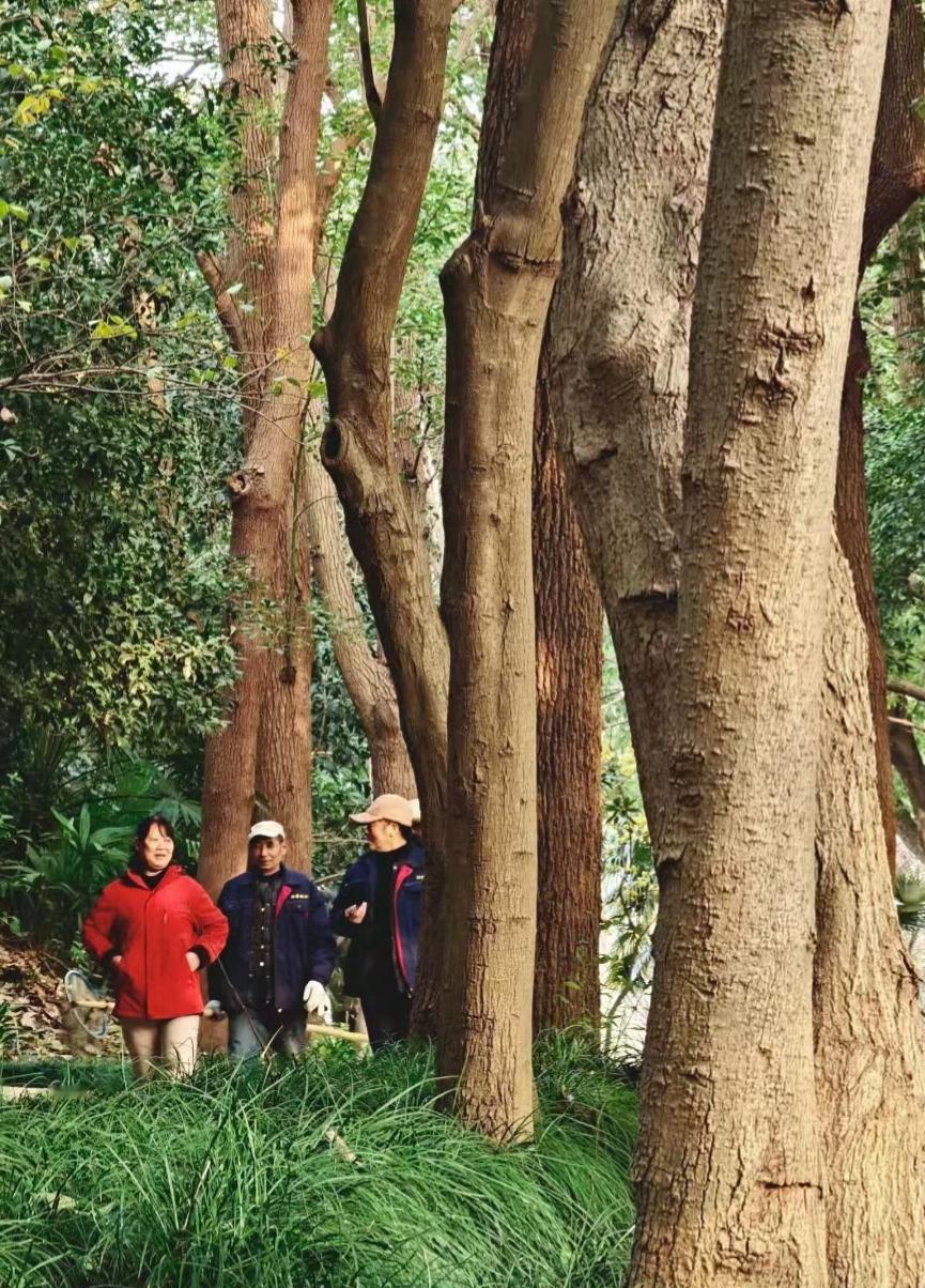 山色斑斓已是秋，
姥叟搀扶登山游。
当年也曾参天树，
虽入暮年志不休。