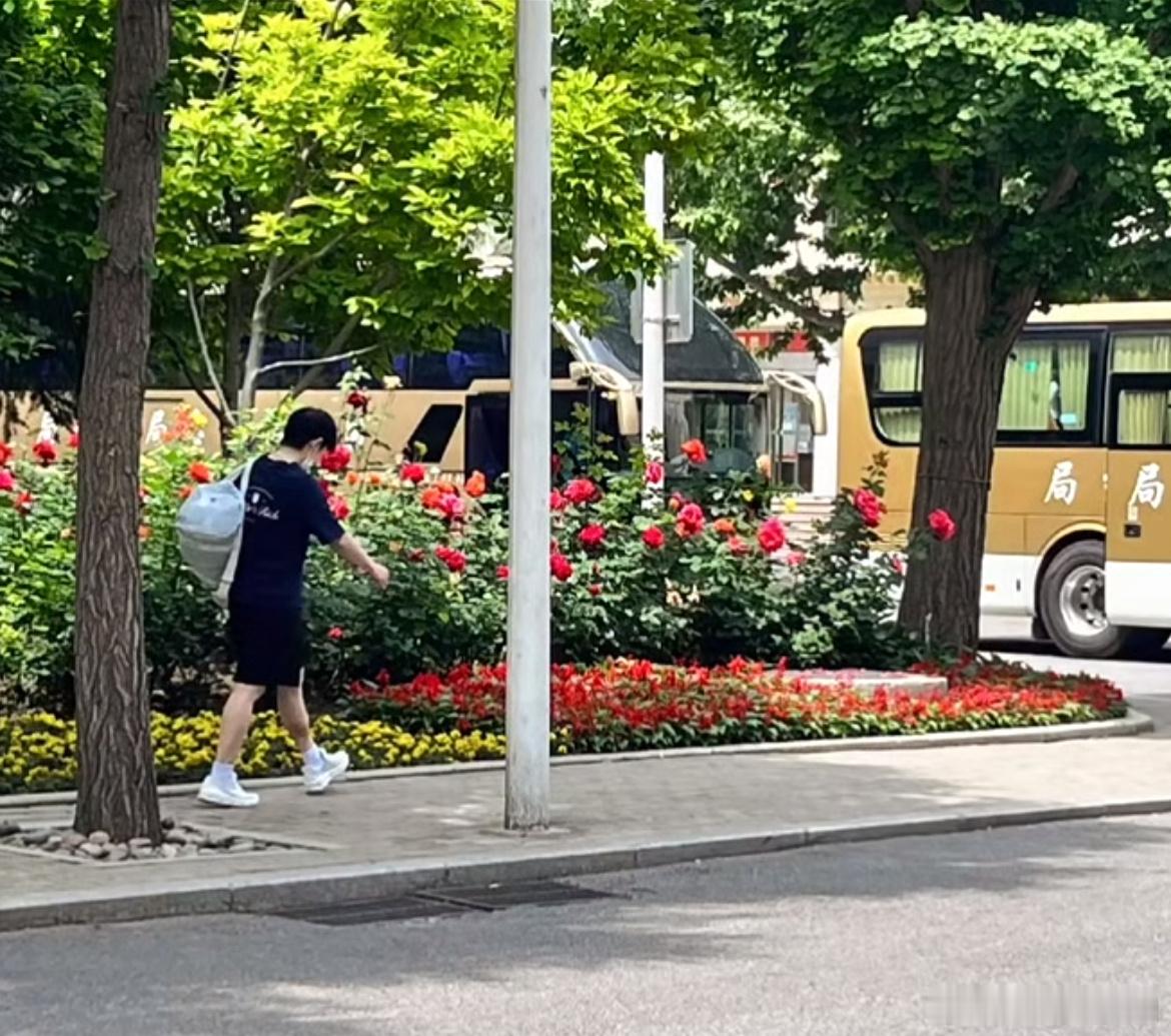 踽踽独行，日复一日，不曾懈怠孙颖莎