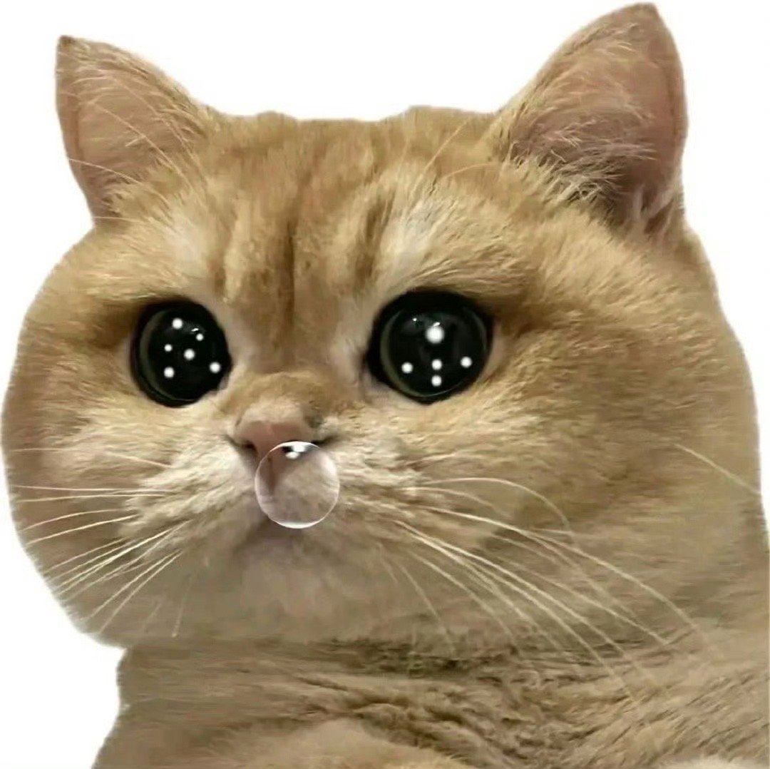 刚地铁站买票处，突然一个农民大爷把手机递给我让我给他买张票，他不懂（开始不晓得他