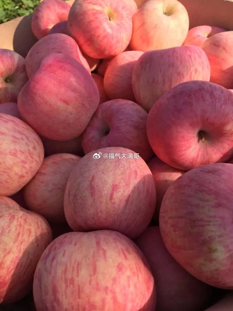 湖北这位妈妈为了逼女儿洗苹果，在表皮裹了一层面粉，结果女儿专挑面粉少的直接啃。这