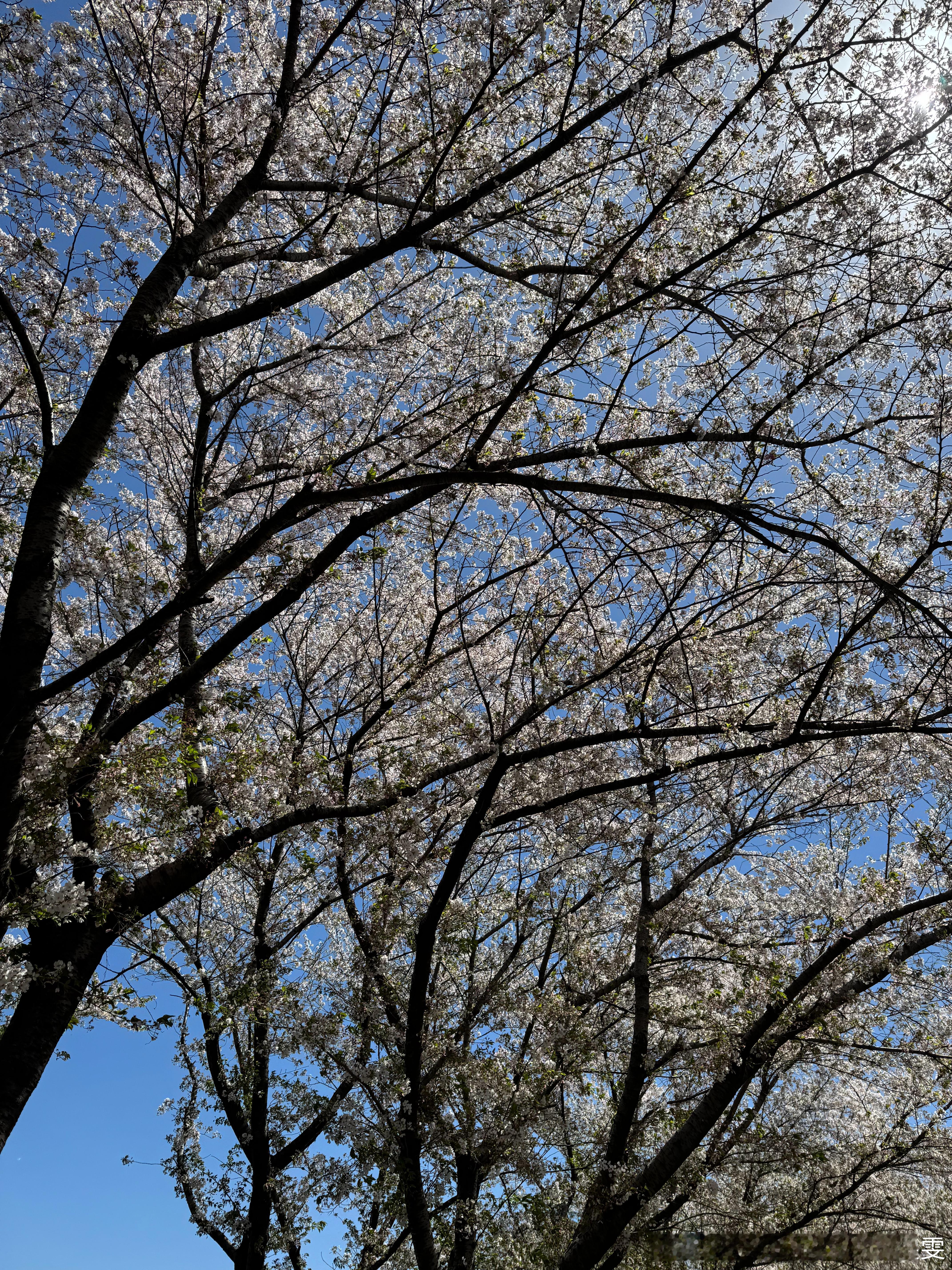 世界の片隅で私に属するあなたを見つけます🤍 