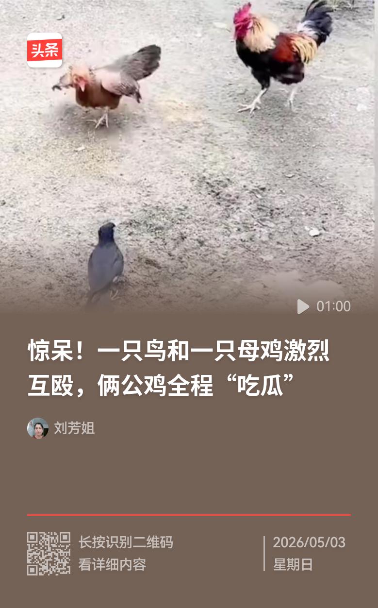 不论是人类还是动物，当目睹自己的配偶遭受他人欺侮时，定会在第一时间挺身而出，保护