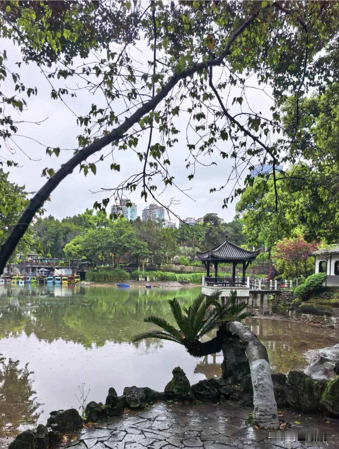 要说牛肉和啥菜一起吃最配，那土豆必须拥有姓名。就像经典的土豆烧牛肉，牛肉鲜嫩多汁