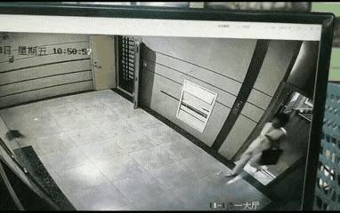 咱们能不能通过立法，禁止大狗进电梯啊。这么大的狗一旦发疯，的确不好控制，电梯空间