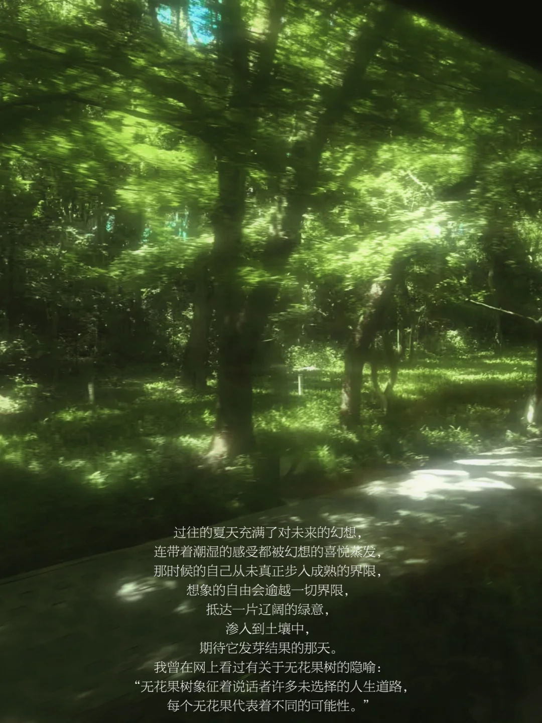 二十几岁的你还在想象虚无缥缈的未来吗？