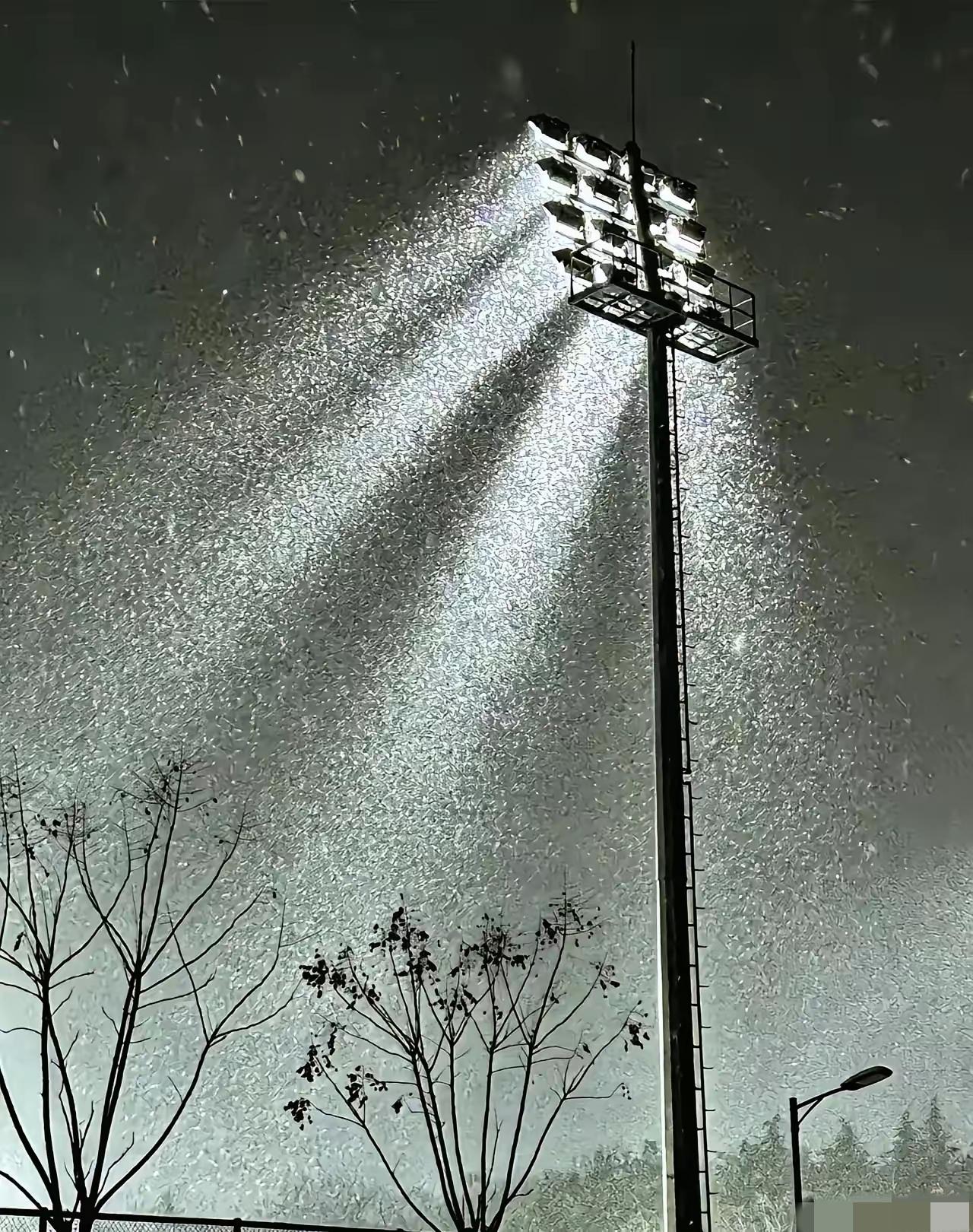 社会学家说：
“你敢去嫖，一夜情，玩陌陌、探探、摇一摇的，就是在给医院和火葬场打