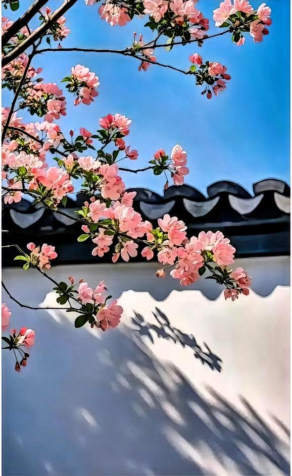 当初不顾安稳执意改嫁，日子过得不如意又想回头，这样的女人值得原谅吗

就像我外甥