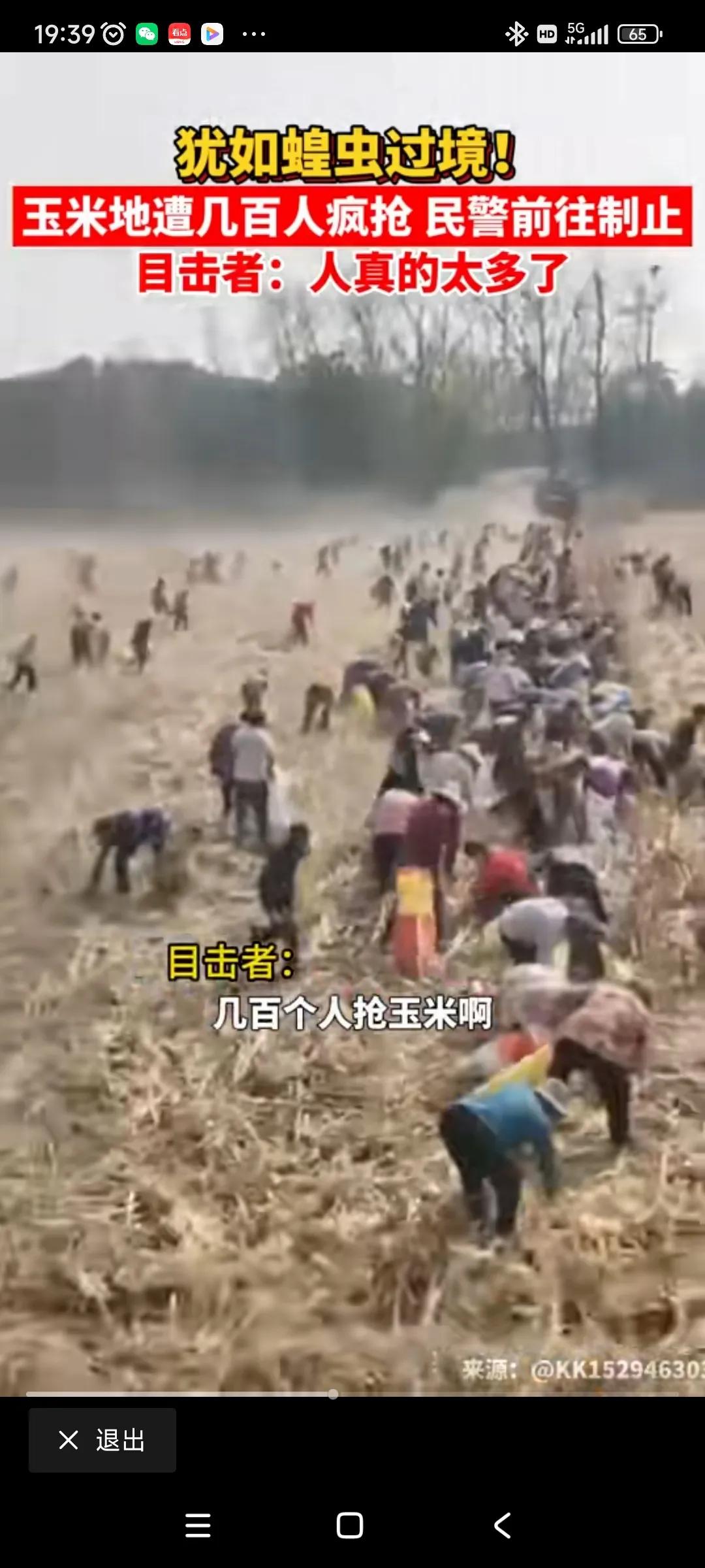 河南周口几百人玉米地里抢玉米，警察来了都拦不住。说什么好呢？名声都给这帮人丢尽了
