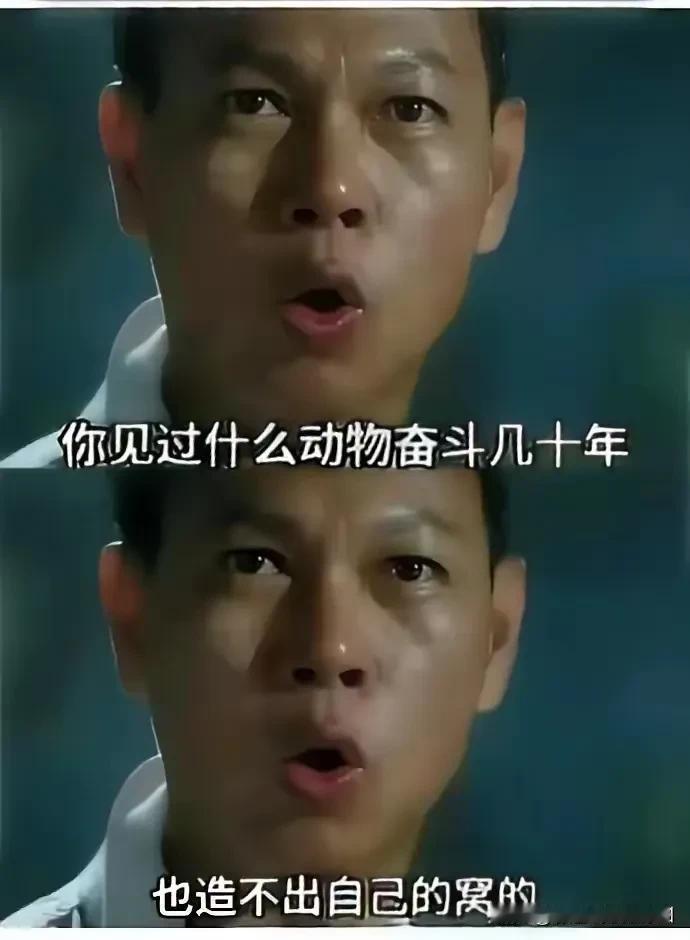 这说明了什么[捂脸]