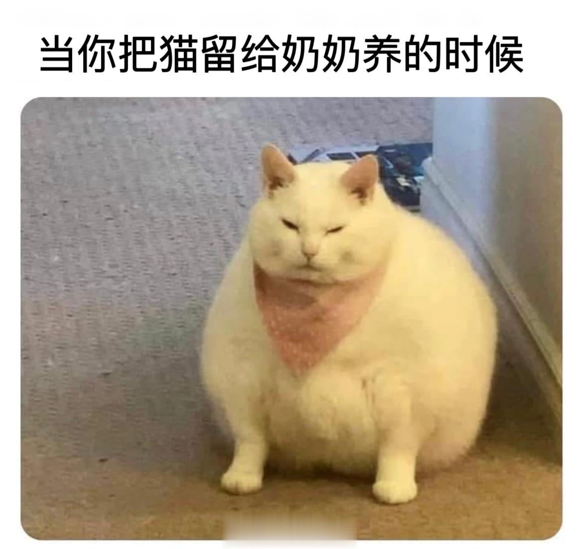 #meme##me_irl# ​​​