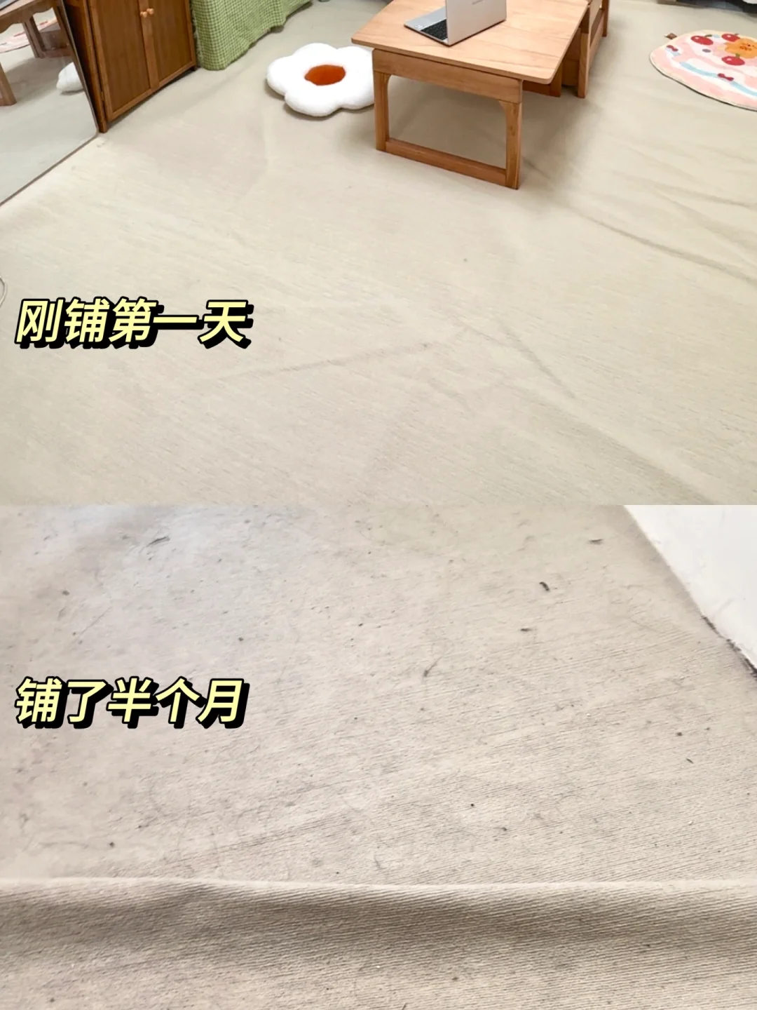 租房千万不要铺地毯！铺了半个月才发现…真的
