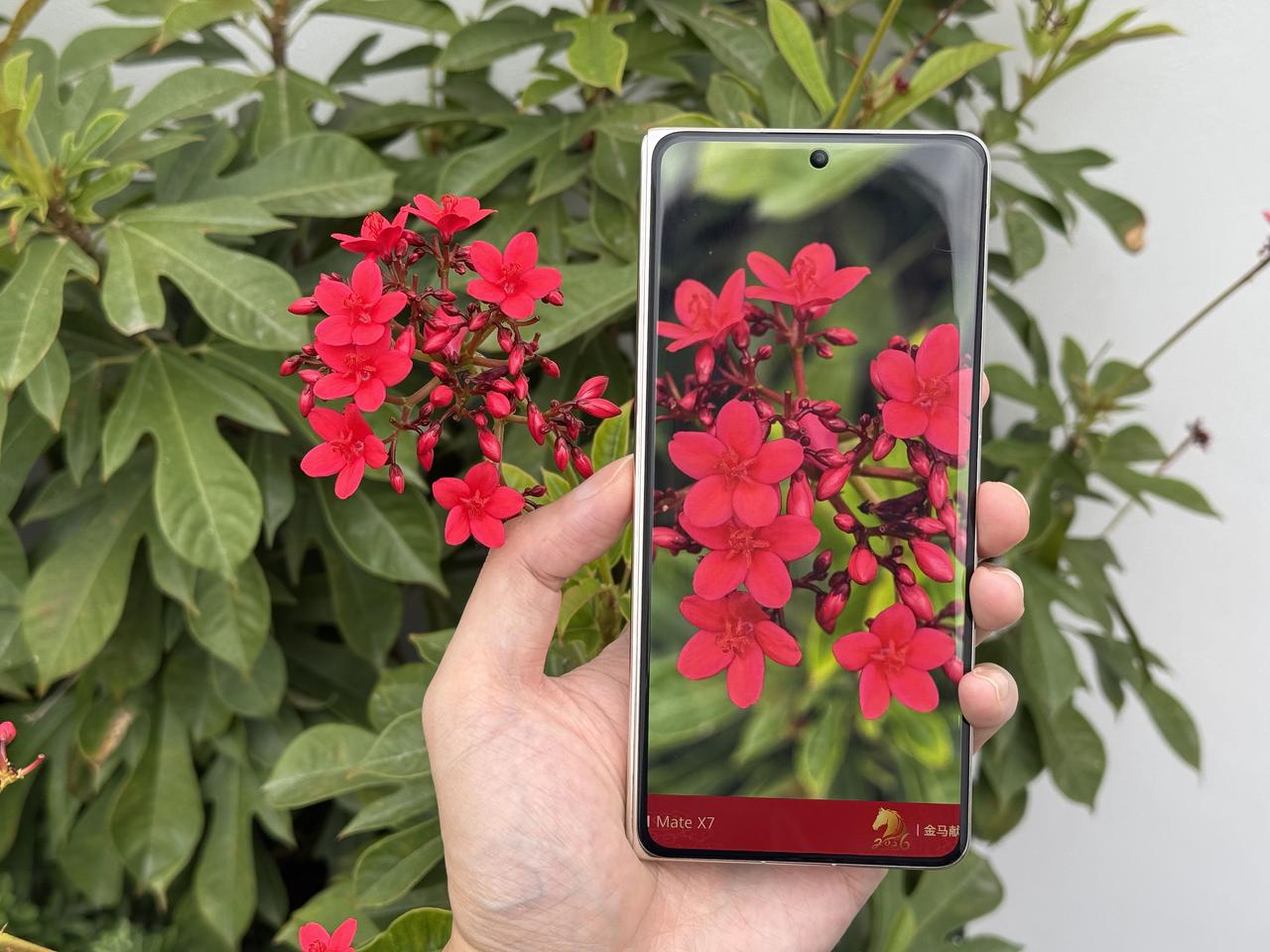华为Mate X7的第二代红枫原色摄像头，将所见即所得的真实色彩还原，色准进一步