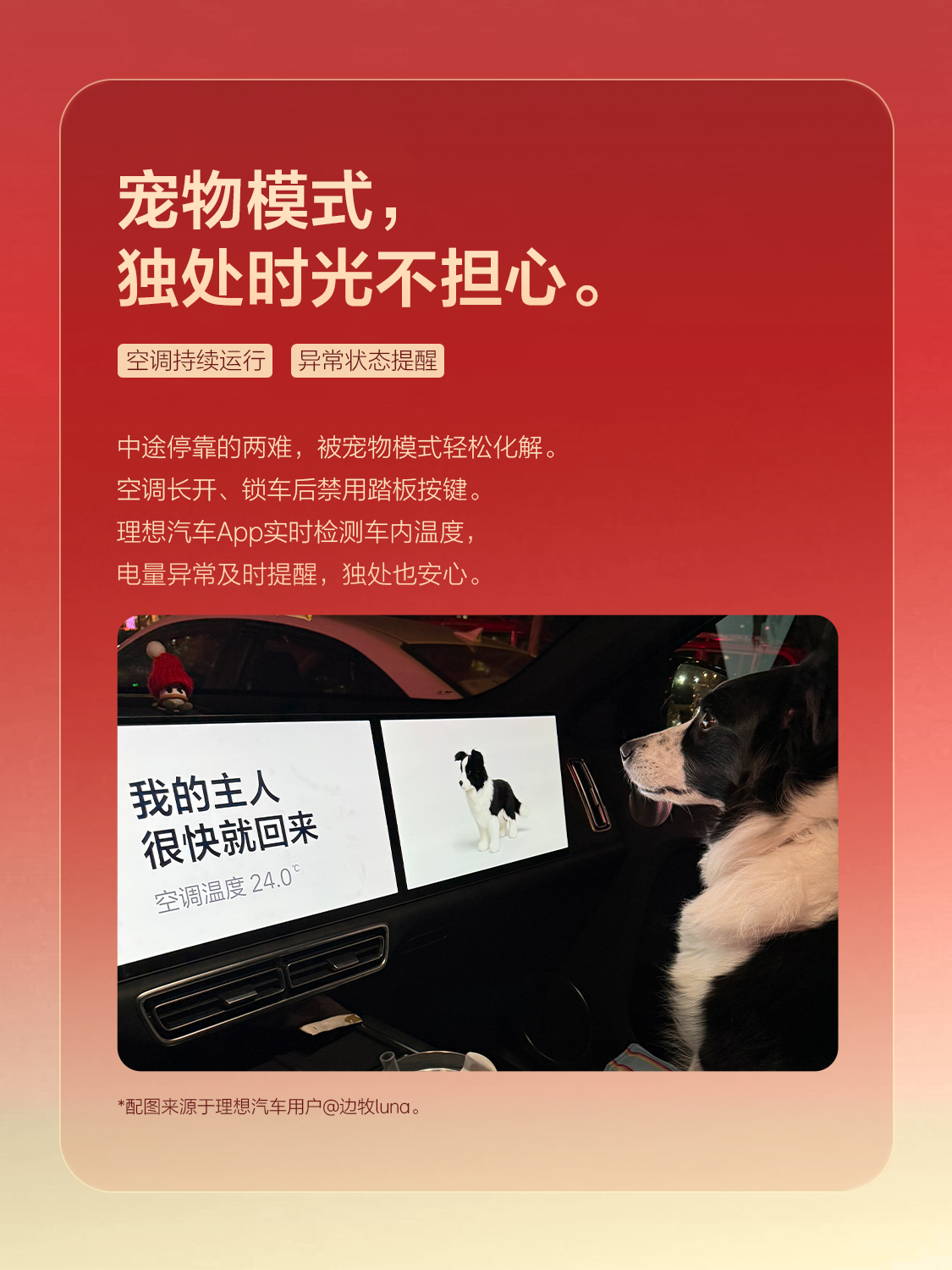 嗯？推荐带毛孩子回家不但不麻烦，还有福利？？？理想汽车理想汽车