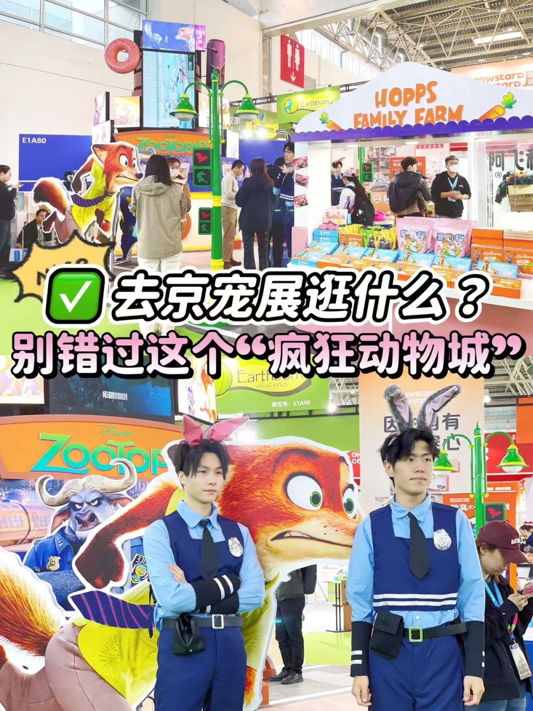 🐾🐶京宠展探秘记，阿飞和巴弟带你玩转