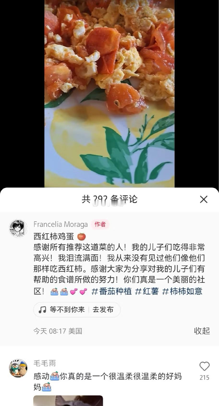 一个美国网友的儿子患了自闭症，她问大家有什么菜可以做给孩子吃，从评论里学会了西红