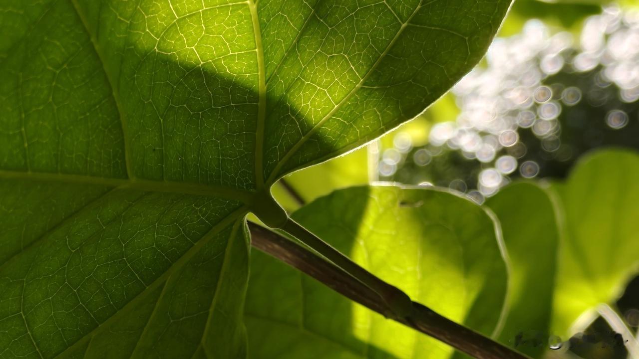 好看的皮囊千篇一律。有趣的灵魂，独具一格。
👉你有没有发现，现在的审美越来越像