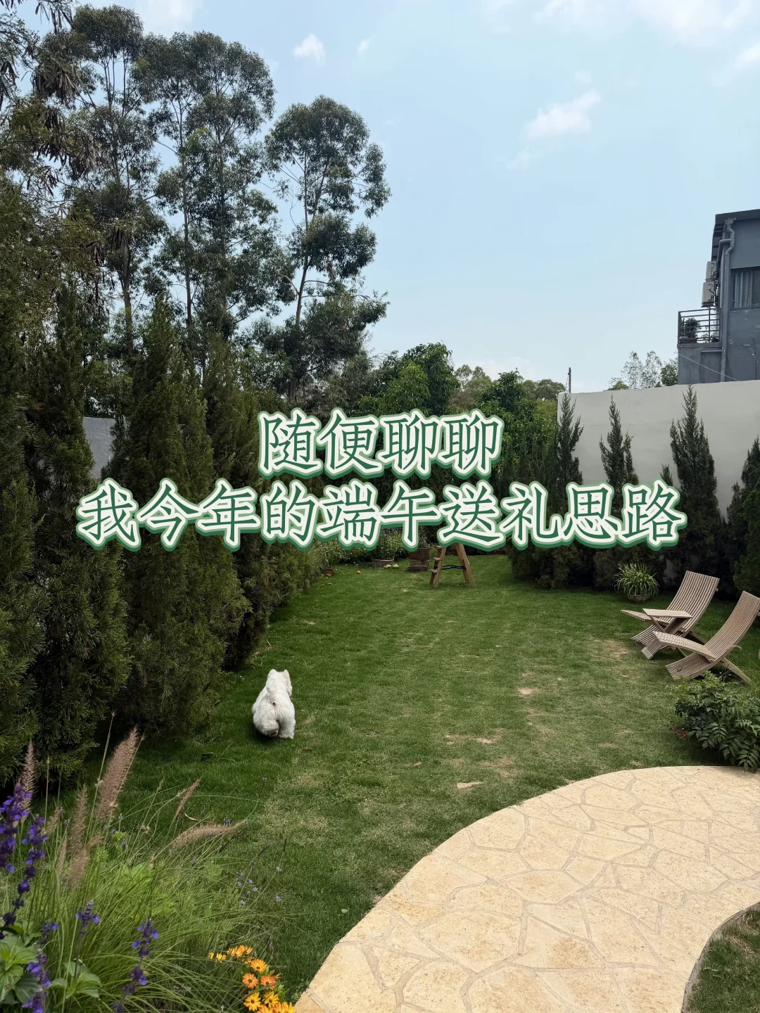 随便聊聊｜我今年的端午送礼思路