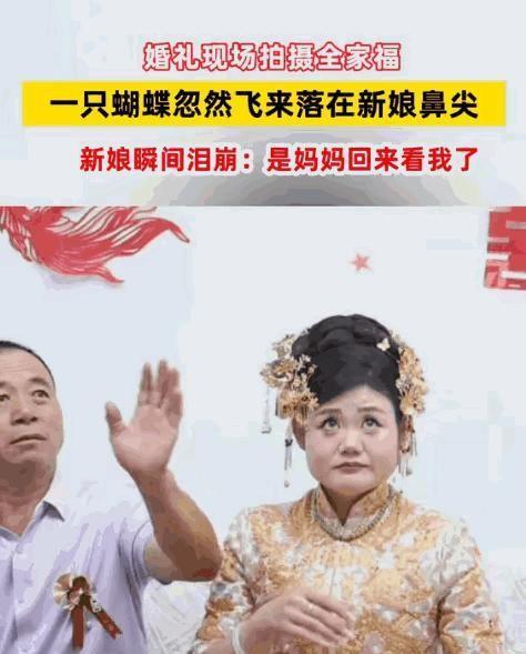 这一幕，连科学都解释不了！山东，婚礼当天，新娘出门前正和爸爸拍合照。突然，一只蝴