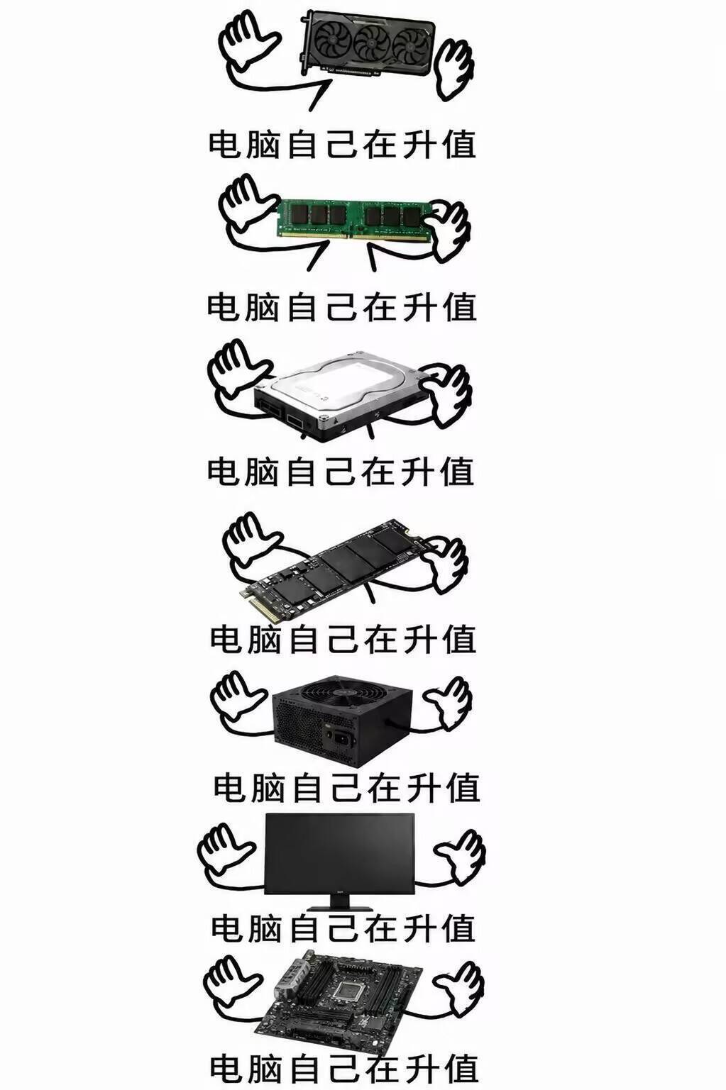 唯一没有升值的，是给电脑配来干活的我