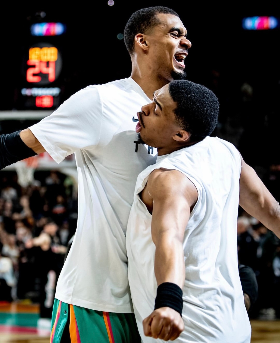 晚安马刺 生活从不是完美答卷，允许自己有遗憾、有停歇，把心放宽，善待自己。晚安刺