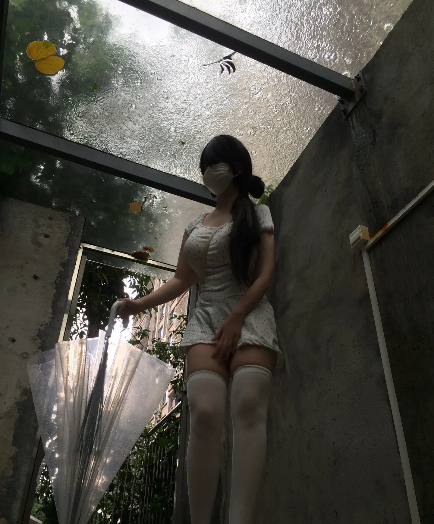 喜欢潮湿的绿色 还有雨后泥土的味道