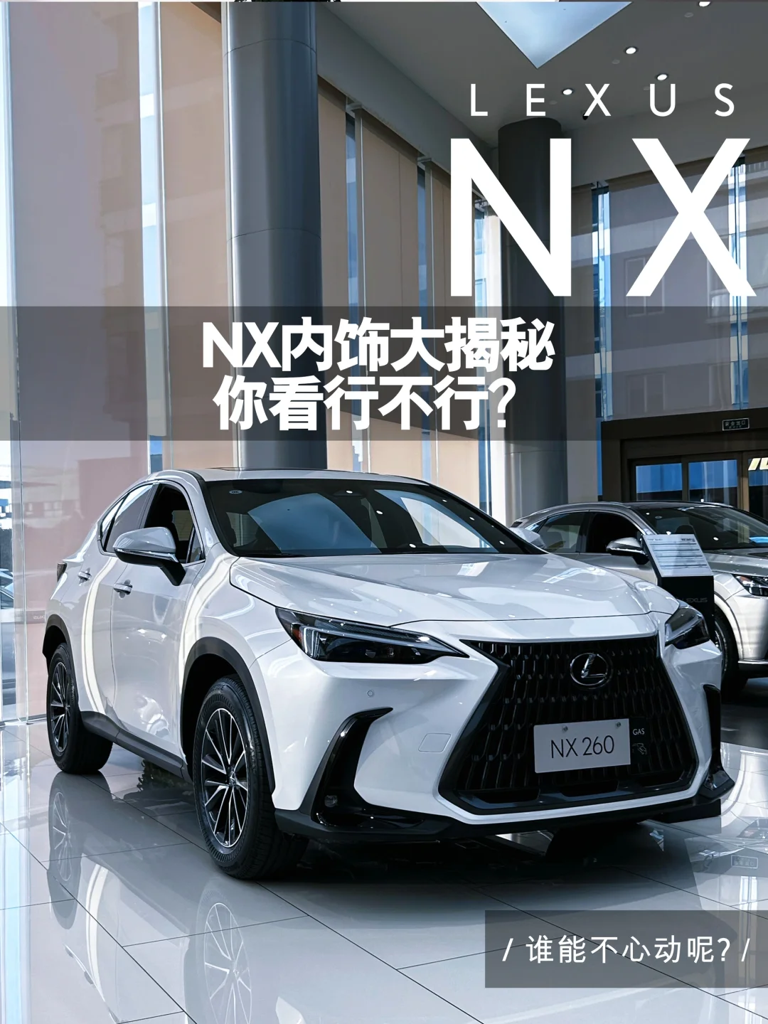 雷克萨斯NX内饰大揭秘 你满意吗？
