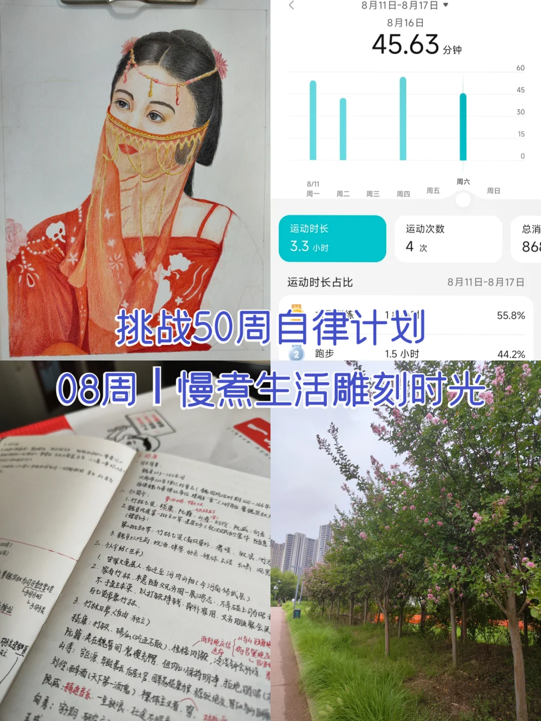 挑战50周自律计划｜08周：慢煮生活雕刻时光