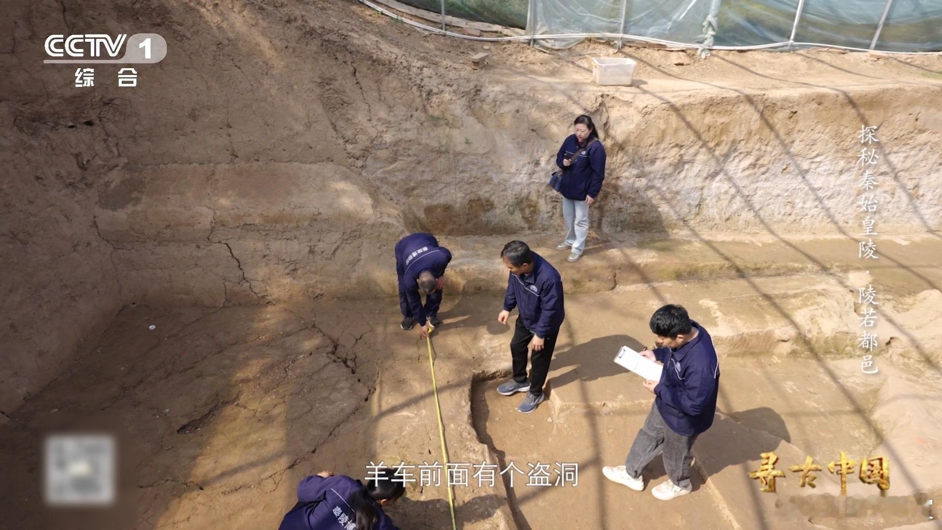 羊羊羊羊羊羊拉车什么样古人为拉风用6只绵羊拉车羊车驾帝陵，礼制现新篇！秦始皇陵西