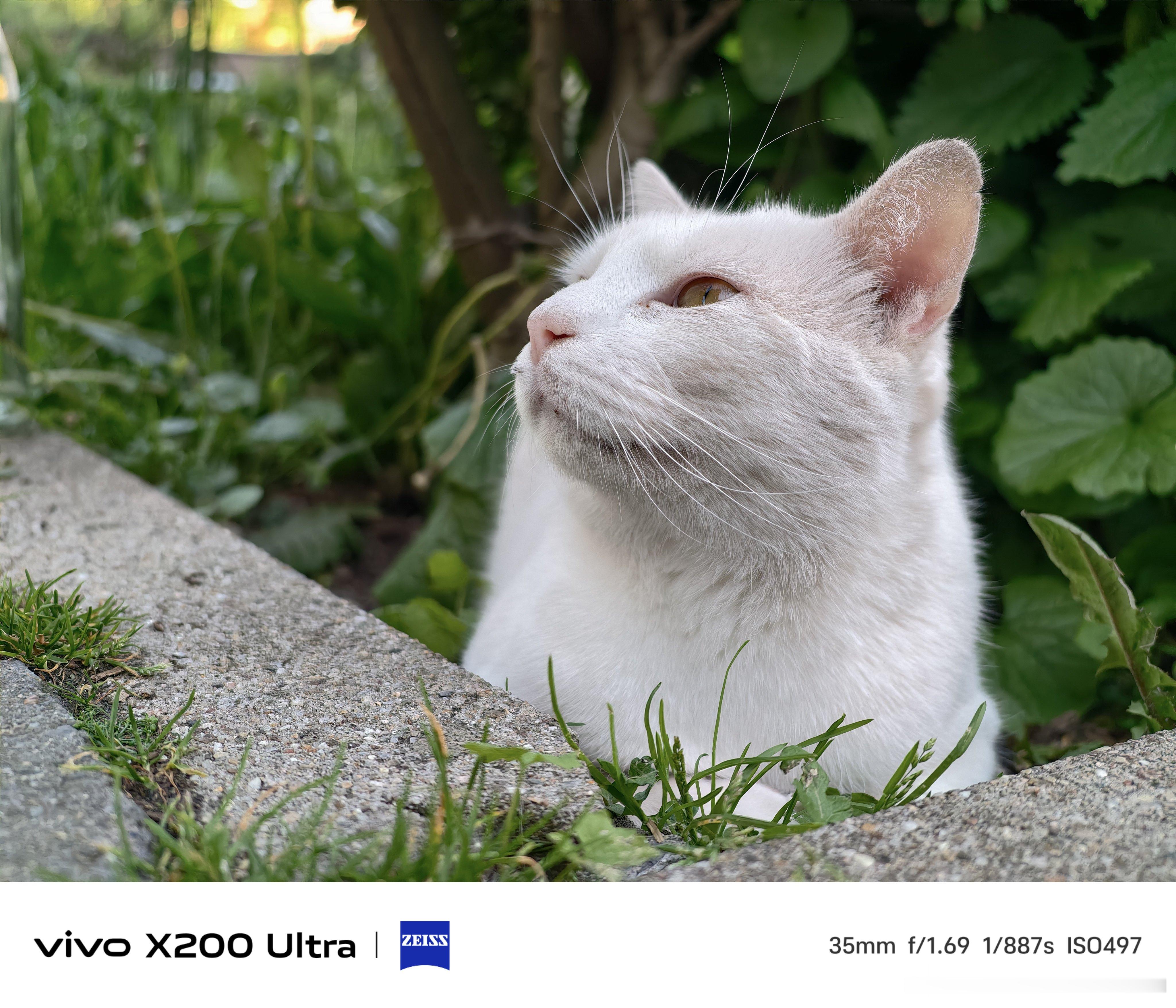 vivo X200 Ultra的一些照片满分100分，大家觉得打多少分合适？图源