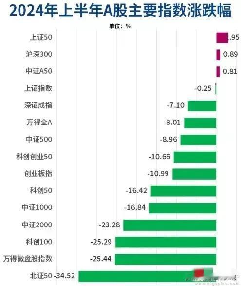 2024年已过一半，A股上半年十大牛股、十大熊股名单出炉！
（1）指数跌幅排名：
