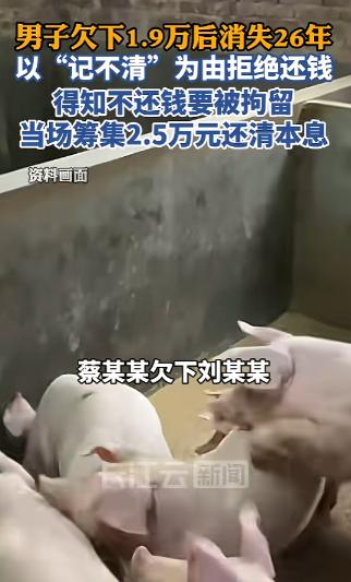 太离谱了！广东阳春，一名男子欠下19000元猪饲料钱，为逃避债务直接外出打工玩消