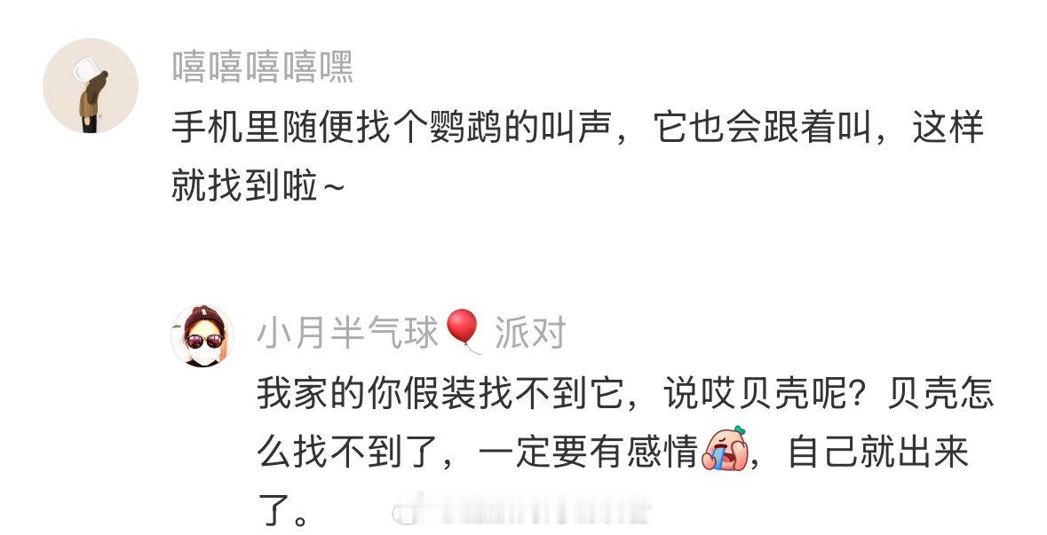 鹦鹉：我的新窝好看吗 （