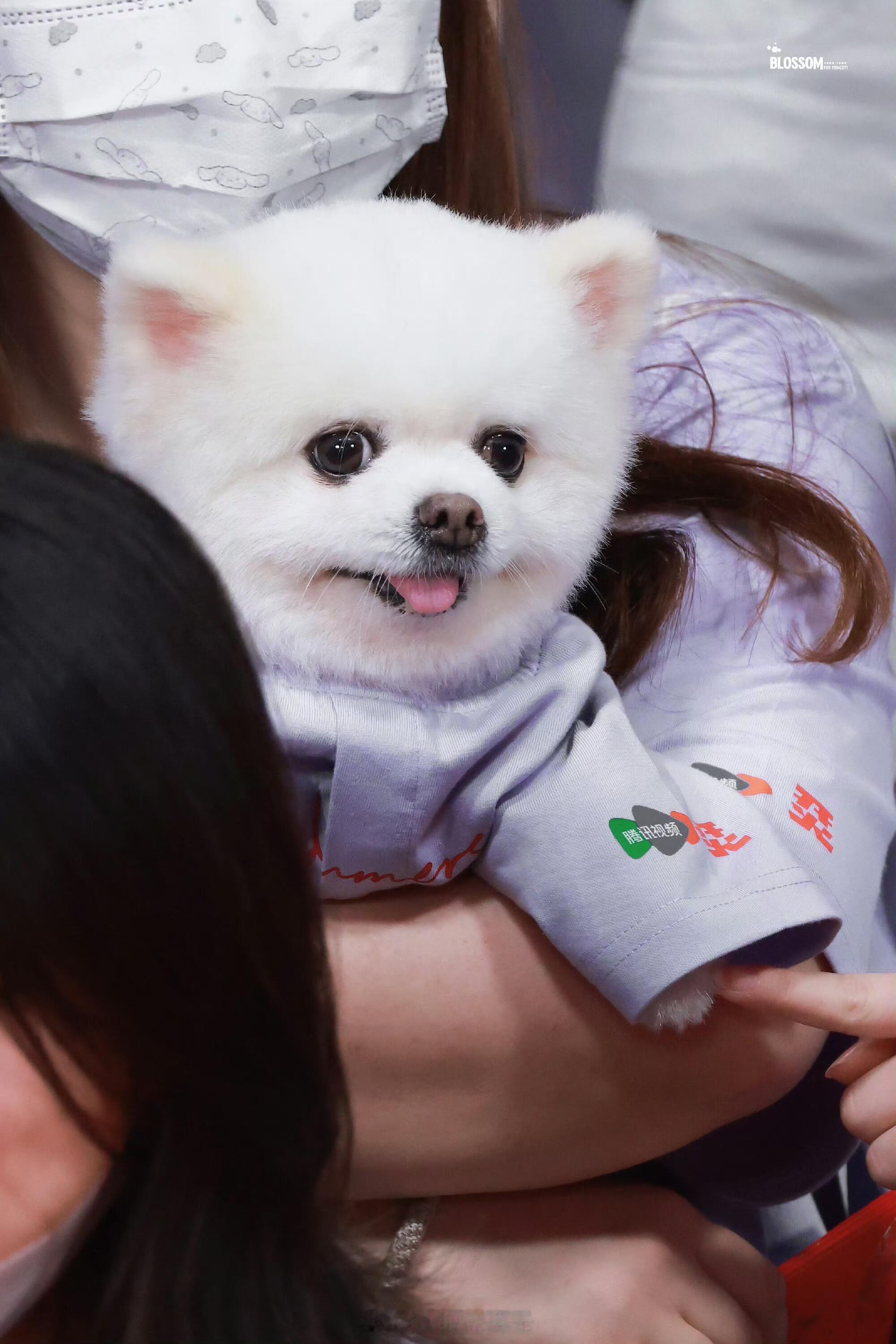 孟子义丁禹兮现在就是最好的年纪哥哥和妹妹生图已经抗打 哥哥好萌啊 