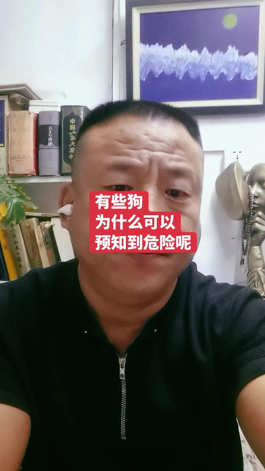 🔥金毛救人，狗狗的灵性有多绝？1️⃣金毛救娃事件：大吊灯差点砸到孩子，金毛提前