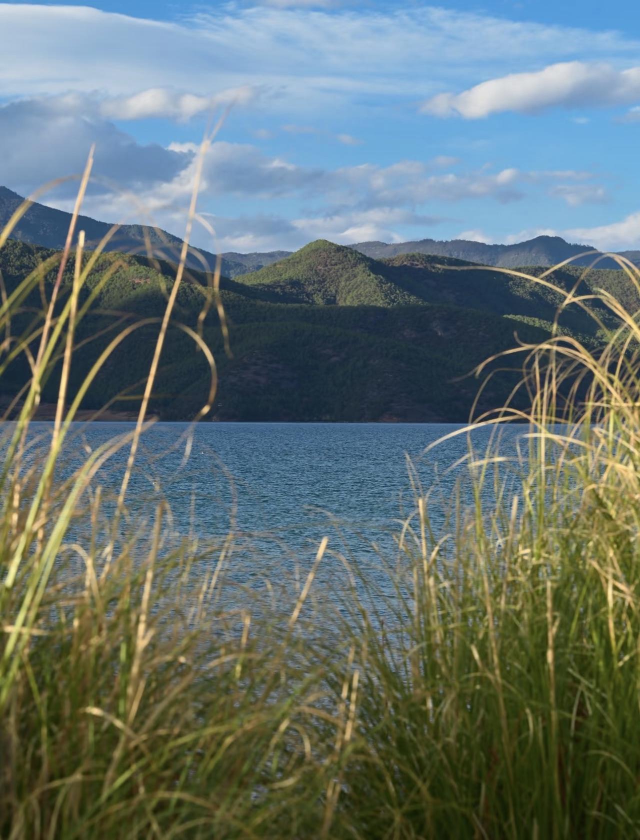 这样做合适吗

朋友很贤惠

重新组建了二婚家庭，

没共同孩子，

二婚老公的