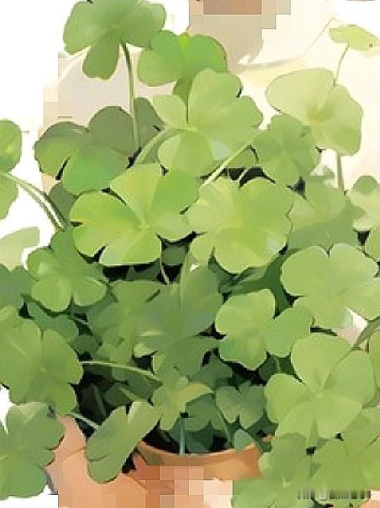 前几天，看一篇文章说：

孩子抑 郁、焦 虑了，医 生让住 院。

我直接留言，