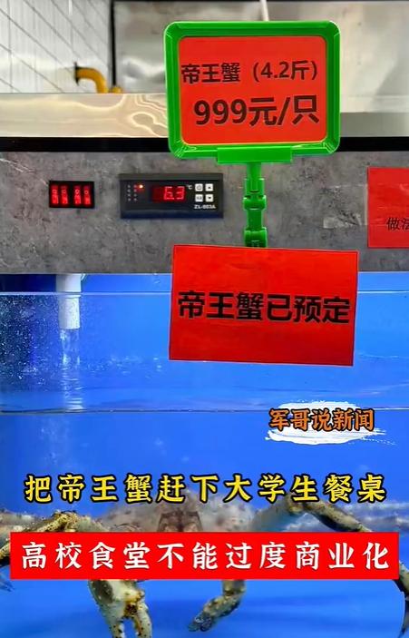 你敢相信吗？大学生食堂出现了“999元一份帝王蟹”，这是在培养接班人还是培养“小