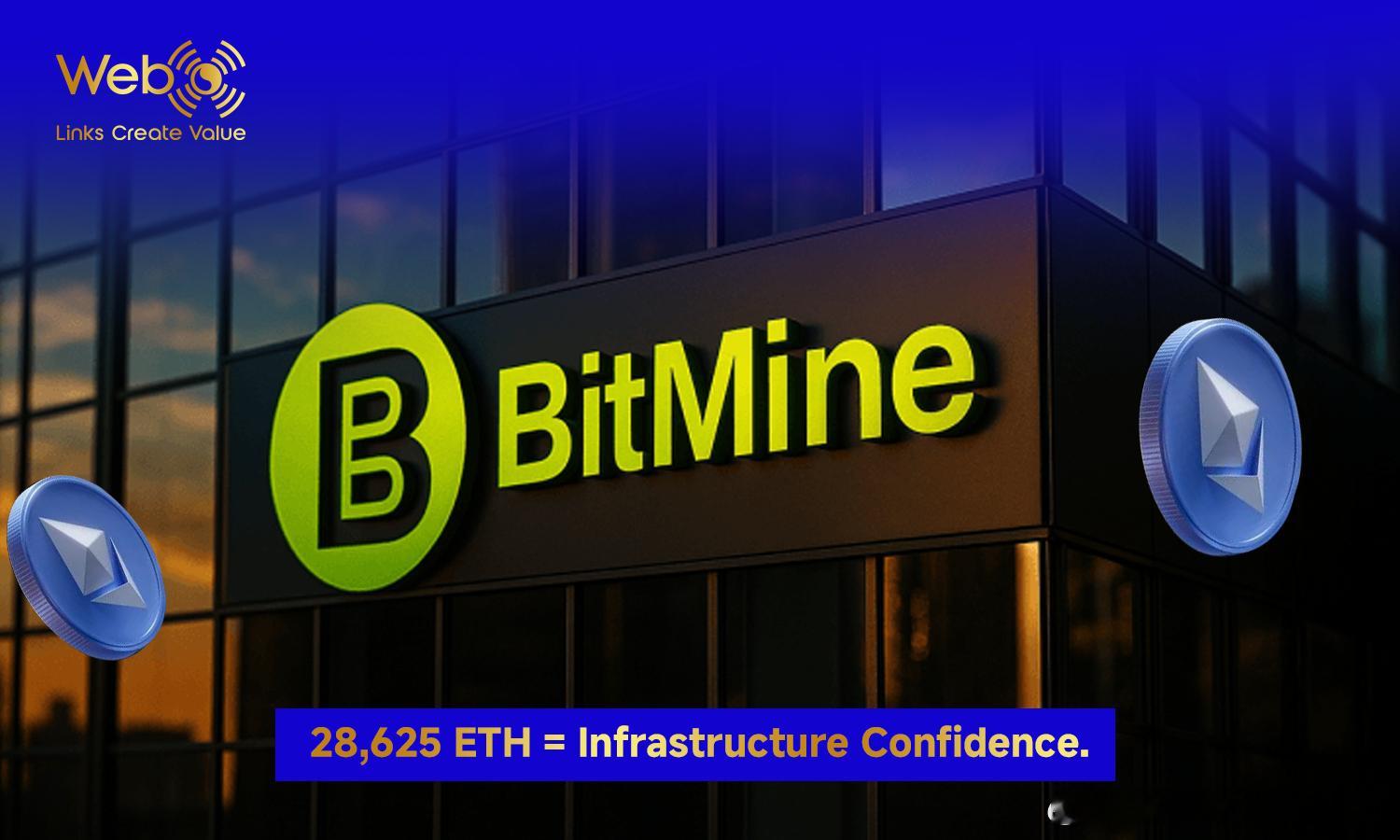 🚀 BitMine再购入 28,625 枚 ETHBitMine 再次大手笔买