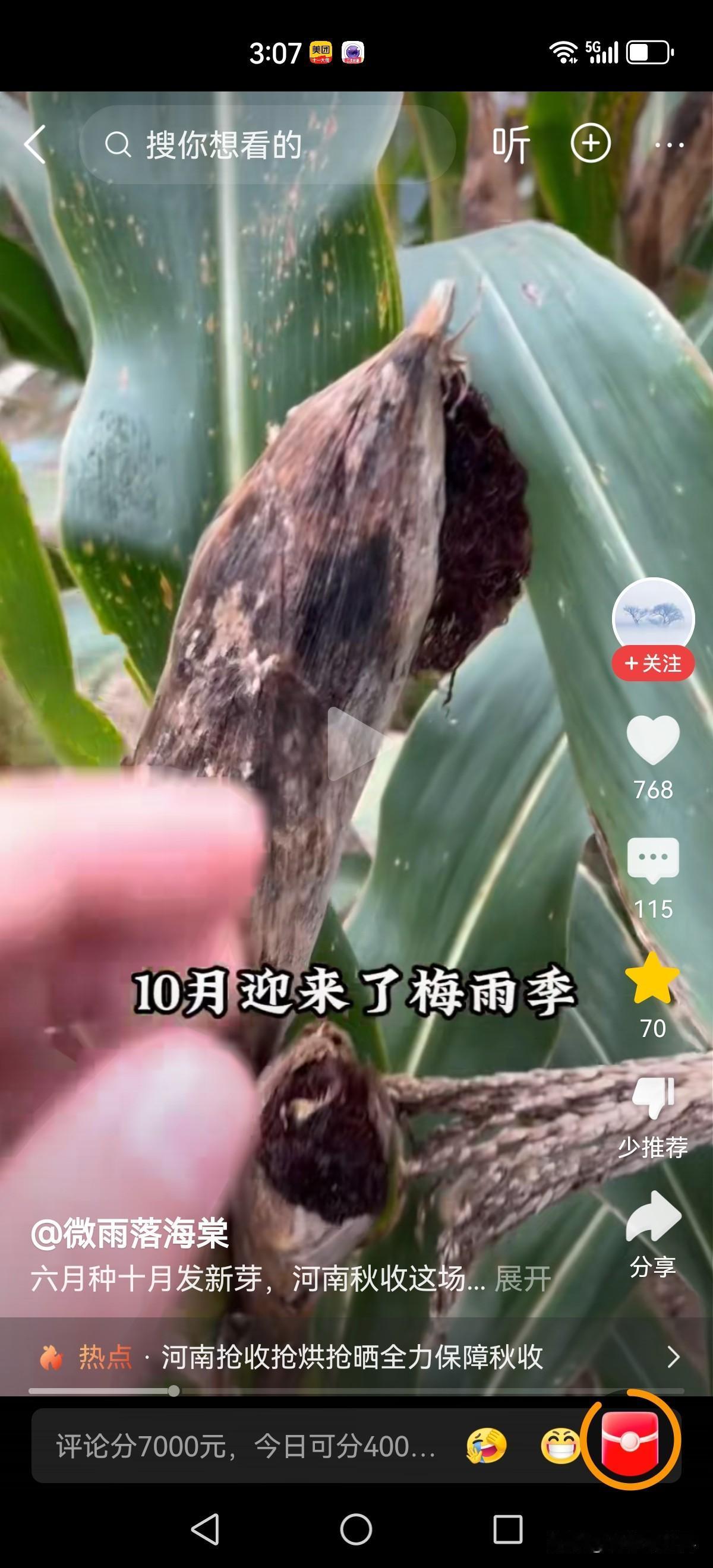 太苦情了！六七月份浇六七遍水的玉米，现如今被雨水泡在地里，基本上绝收了。

善良