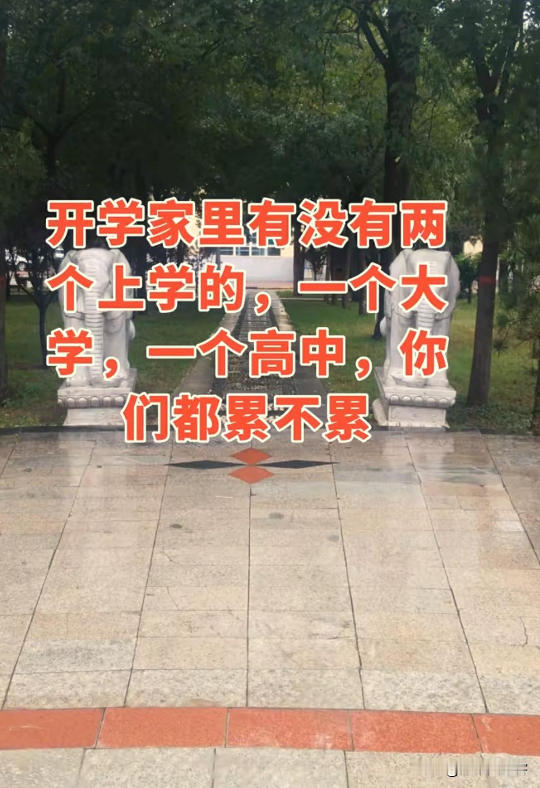 开学季最扎心的现实：普通人最难的是教育
 
一年又一年，转眼又是开学季。
 
每