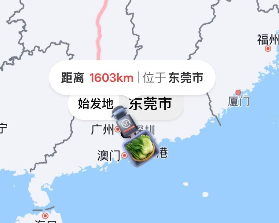 idoll配送是白菜🥬  因为有🍊蛋糕吗  也太可爱了 
