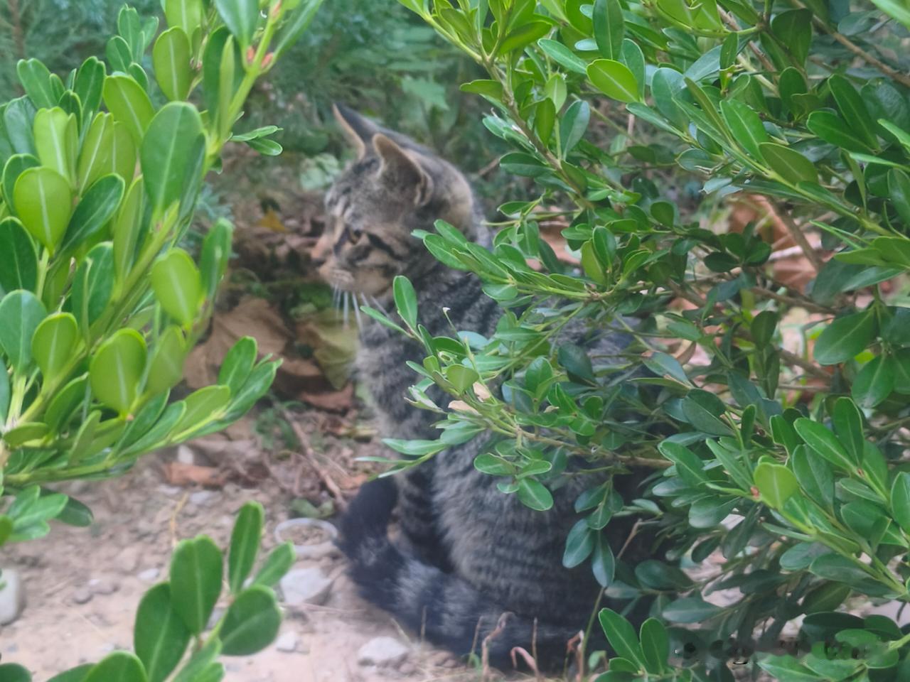 @豆包 帮我点评