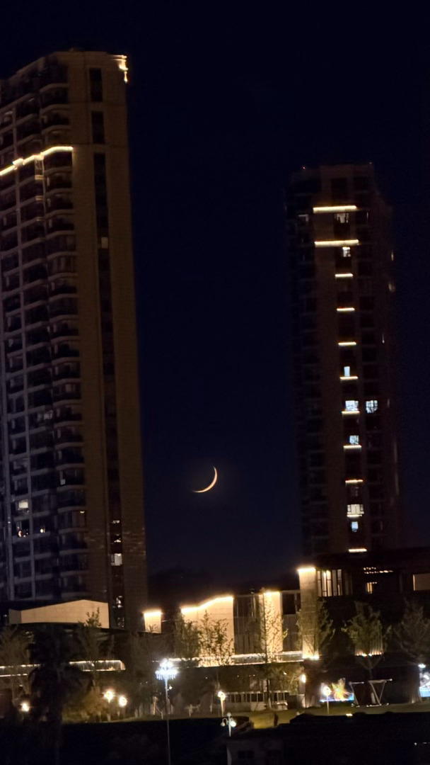 🌙好低 
