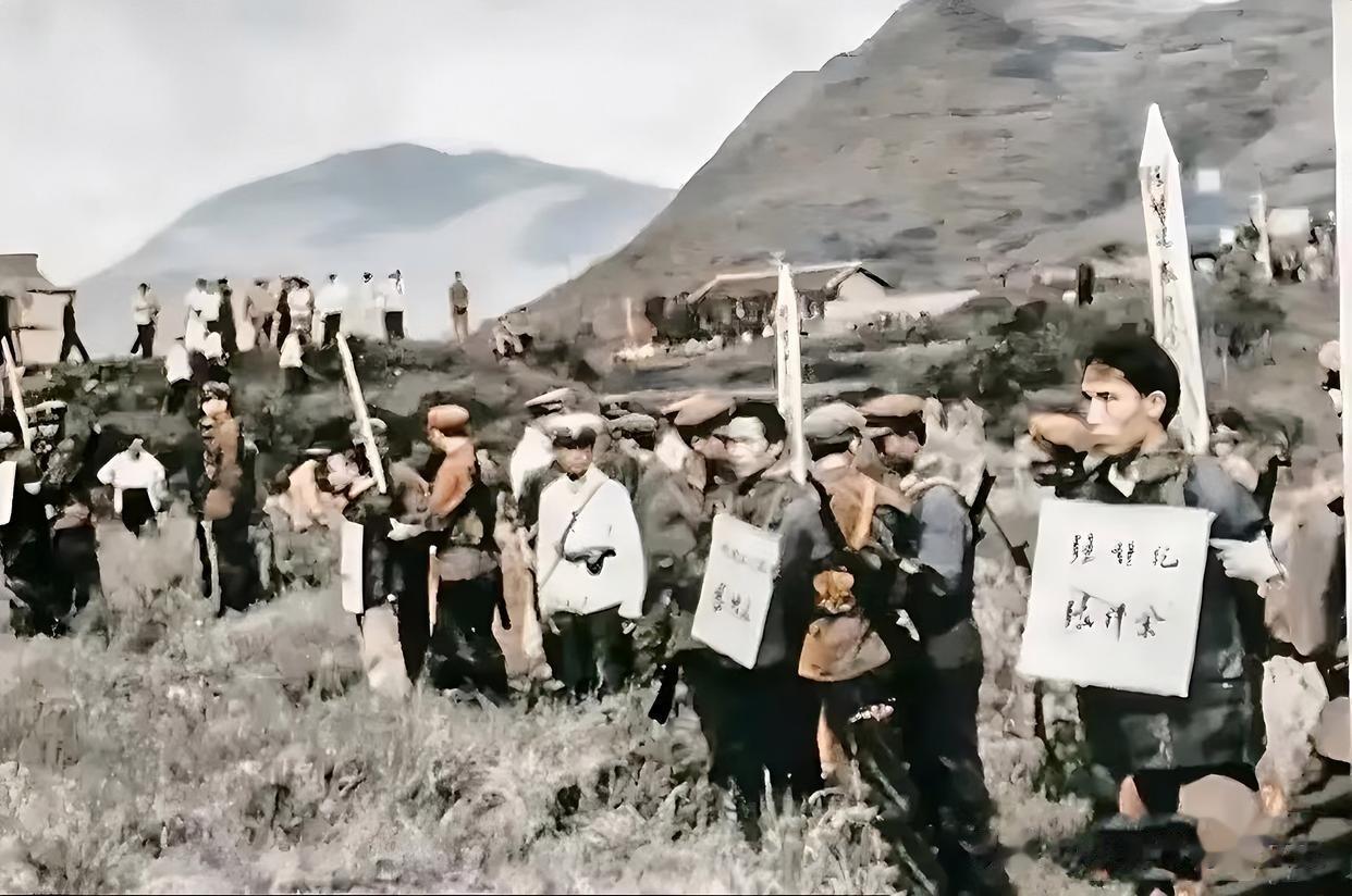 1983年，严打期间，江西某地死刑犯被集中枪毙时的罕见留影，为了震慑当地犯罪集团
