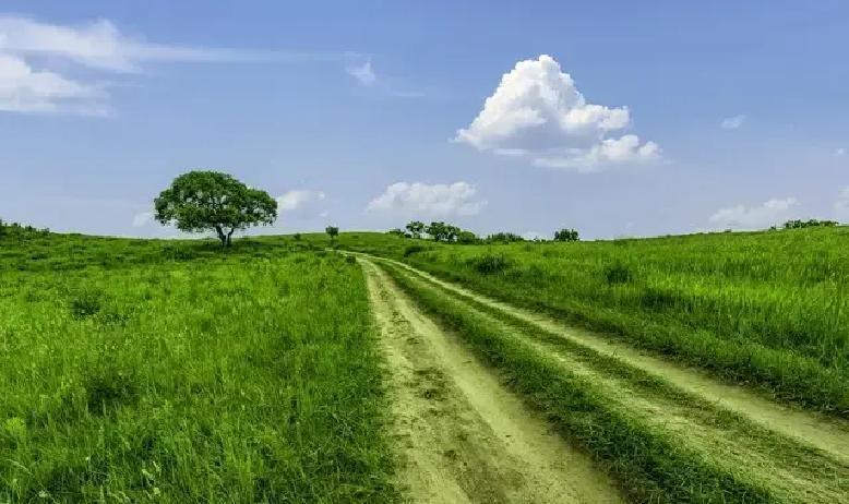 生存这事儿，说白了就是先得吃饱饭、有地方住。中国人几千年都在为这最基本的事发愁，