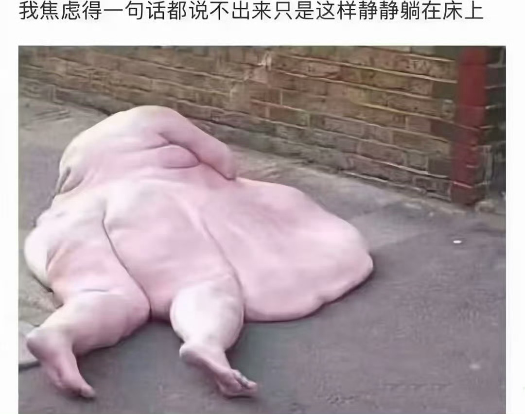 分享图片 