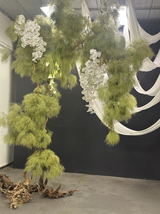 有没有新娘想做小众婚礼哒👰